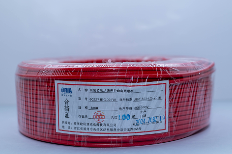 Single Core Flexible Conductor Non-Sheathed Cable RV Example